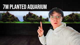 Tour of All the Planted Tanks at Sumida Aquarium!!
