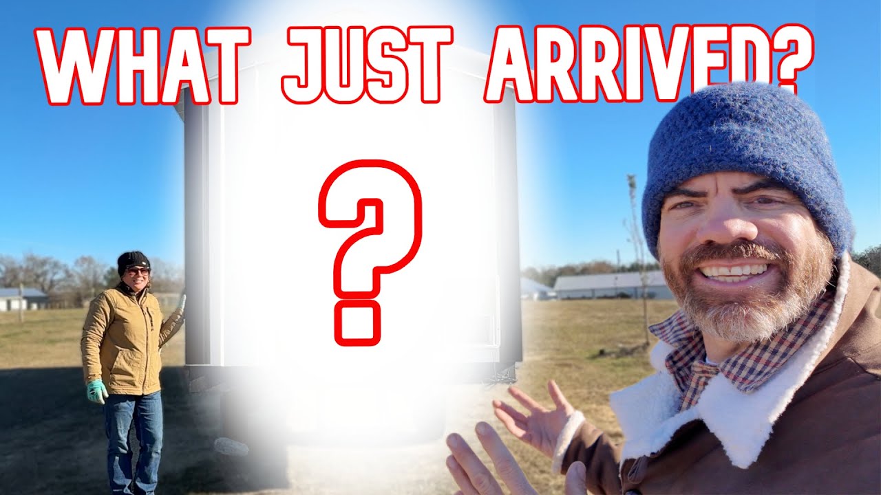 На ферму только что доставили большой сюрприз!