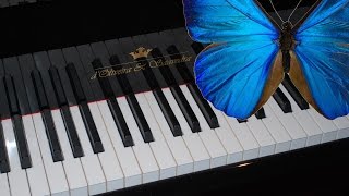 Butterfly VIP Tutorial