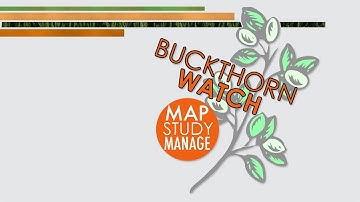 Buckthorn Watch Program