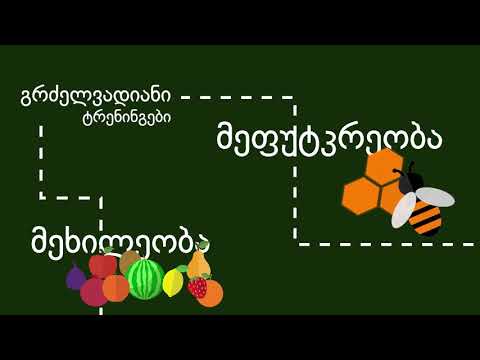 საქველმოქმედო ფონდი ლაზარე - გრაფიკული რგოლი