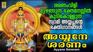 അയ്യനേ ശരണം | Ayyane Saranam | Ayyappa Devotional Songs | Hindu Devotional #ayyappa#devotional