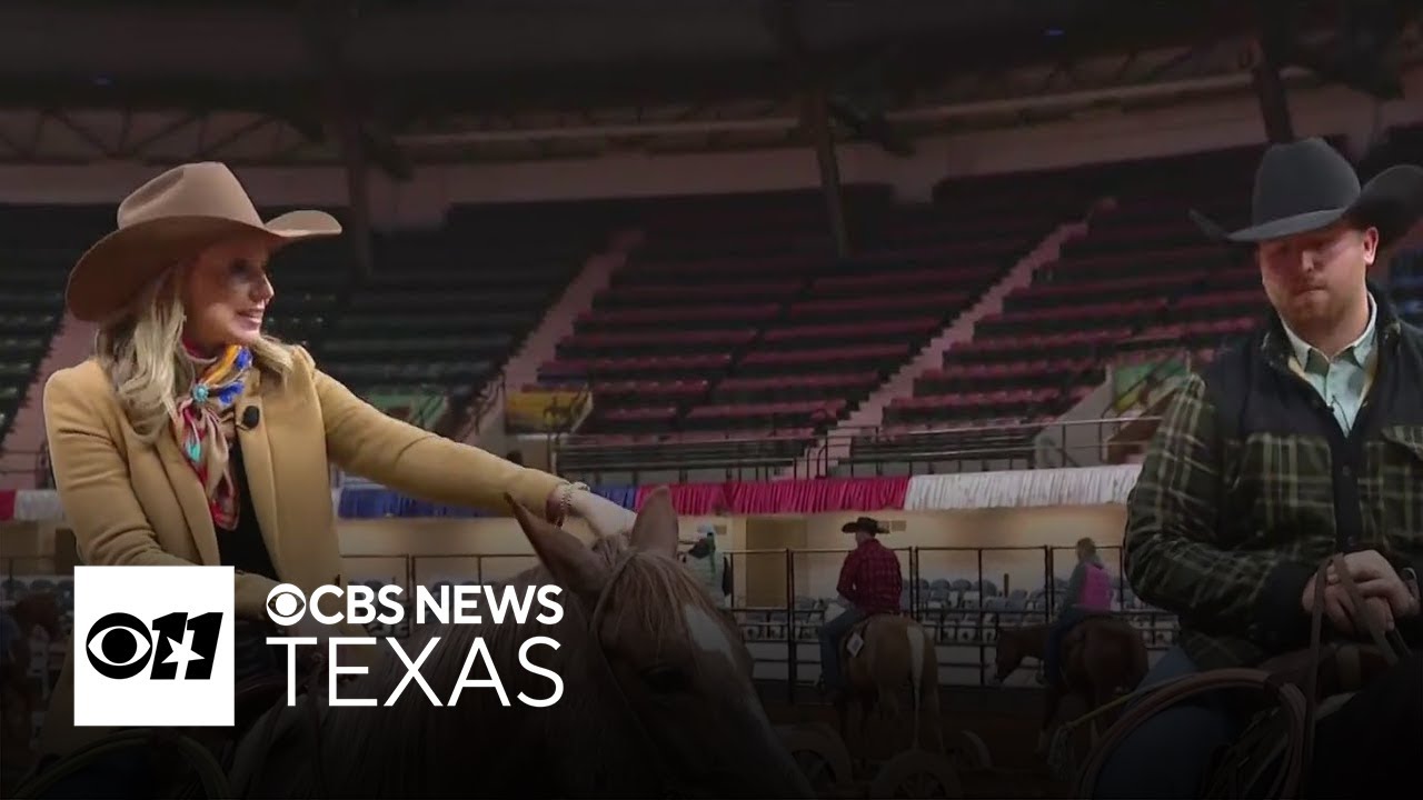 What to know about buying a horse at the Fort Worth Stock Show and Rodeo