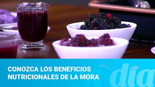 Conozca los beneficios nutricionales de la mora