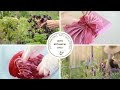 ASMR - Embrace Nature: Sustainable Wrapping with Botanical Dyes