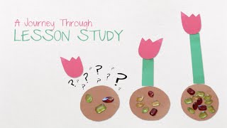 TMERC: A Journey Through Lesson Study