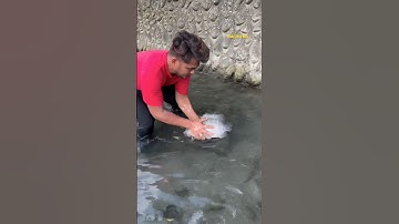 Cá Lớn - bắt Cá Rô Phi Khủng bằng tay dễ dàng 😱 #khacthuyvlogg