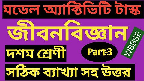Model activity task class 10 life science Part-3|সঠিক সঠিক ব্যাখ্যা সহ উত্তর |