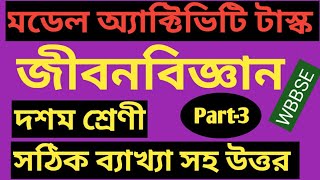 Model activity task class 10 life science Part-3|সঠিক সঠিক ব্যাখ্যা সহ উত্তর |