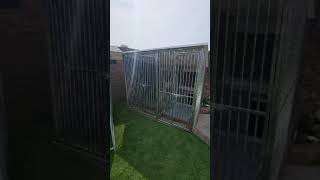 Introducing the new iDesign Worker Box Kennel System