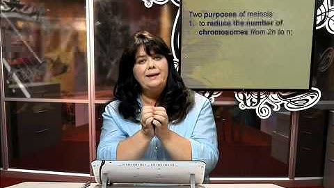 LS Lesson 7 Segment 2 SD Video Sharing copy