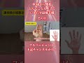 60歳から開花。どんなことも上手くいきだす最強手相5選 #shorts
