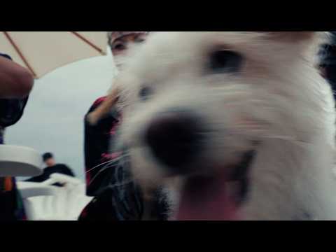 FIN DARA YOUTUBE