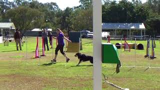 Durack - Excellent Pairs by teamfyre 7 views 5 years ago 53 seconds