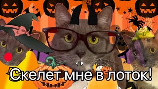 картинка: ЕСЛИ БЫ КОТИКИ ГОТОВИЛИСЬ К ХЭЛЛОУИНУ-СТИШКИ НА ОСЕНЬ И СТРАШНОЕ ЧАЕПИТИЕ 