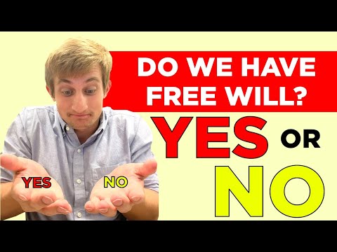 Do Humans Have Free Will?