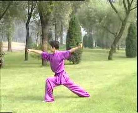 Yi Lu Hua Quan (First Road of Hua Fist)