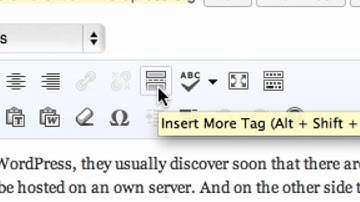WordPress Excerpt - Read More
