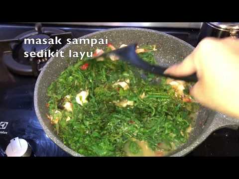 resepi-pucuk-paku-goreng-belacan