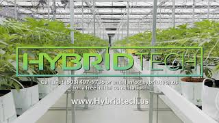 Cannabis Design & Engineering with Hybrid Tech
