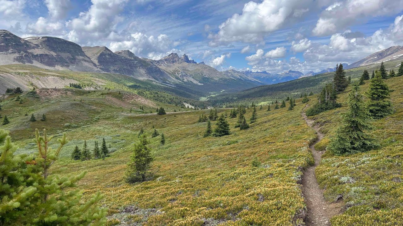 6 дней в путешествии по маршруту Бразо! День 2. Национальный парк Джаспер. 2025
