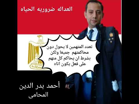 مرافعه قانونيه للاستاذ احمد بدر الدين فى الدفع بشيوع الاتهام