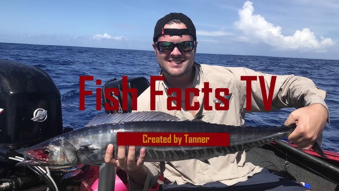 Fish Facts TV 