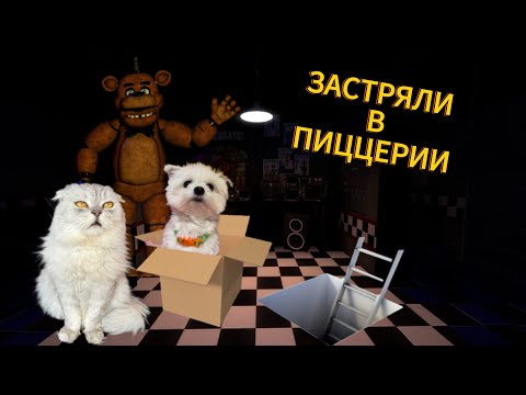 FNAF В РЕАЛЬНОЙ ЖИЗНИ | ЗАСТРЯЛИ В ПИЦЦЕРИИ ФРЕДДИ