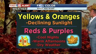 15+: Fall Color Science