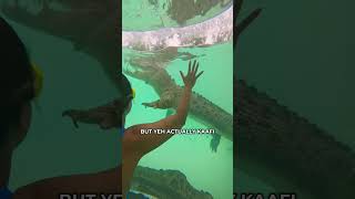 I Went Swimming With The Most Dangerous Creature