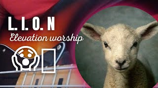 Lion Elevation Worship B Cover