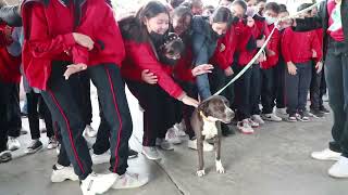 Impulsa Escobedo la protección animal entre la comunidad estudiantil