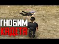 ВОСПИТАЛ КАДЕТА - БОЛЬШИЕ ВЗЯТКИ ARIZONA RP