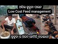 How to weight gain desi poltry farminglow cost desi poltry feed making desi poltry farming