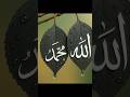 Ayatul-Kursi❤️