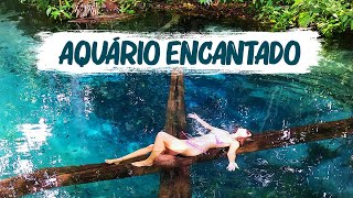 O INCRÍVEL AQUÁRIO ENCANTO em NOBRES-MT - A natureza é espetacular!