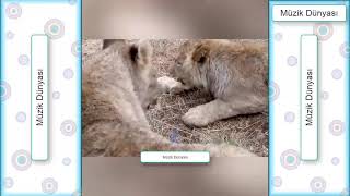 En Komik Çocuk Videoları - Sakarlıklar Ve Arkadaş Şakaları Komedi Troll 2019