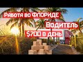 Работа во Флориде во время карантина за $700 в день водителем