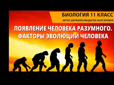 Появление человека разумного. Факторы эволюции человека