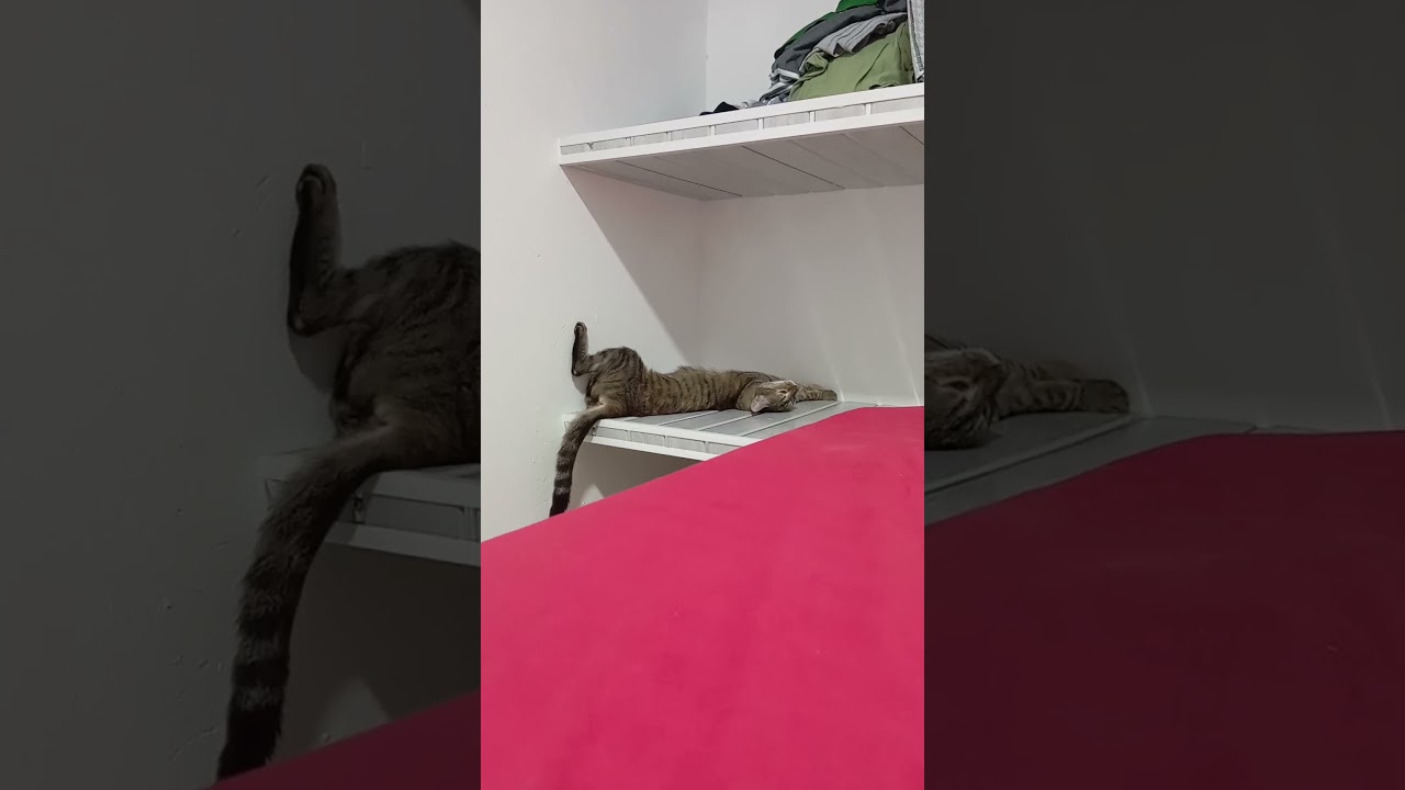 No molesten 😁😶‍🌫️