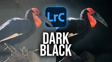 Create THIS DARK BLACK Style using ONLY Lightroom!