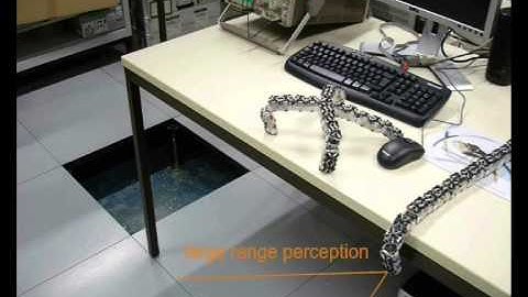 Symbrion and Replicator projects - motivational video