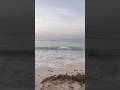The Beauty of Barbados 🇧🇧 #beach 🏝️ #viralvideo #holiday #music #lifestyle #vacation #beachvibes