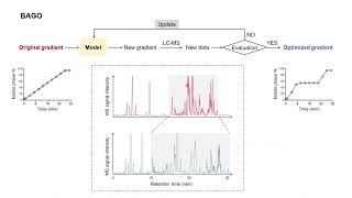 BAGO | Bayesian optimization of LC gradient for untargeted chemical analysis (3-min explanation)