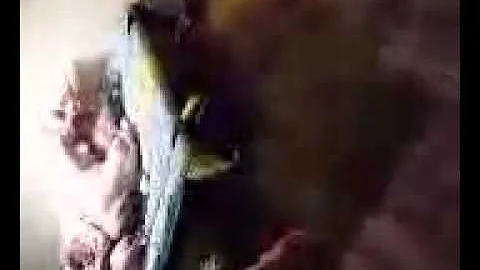 Watch the video about Sweet Sphynx outcross Kittens and their mom