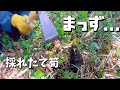 【筍の食べ方急募】庭で採った筍そのまま焼いて食べたら…