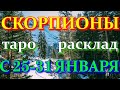 ГОРОСКОП СКОРПИОНЫ С 25 ПО 31 ЯНВАРЯ НА НЕДЕЛЮ.2021