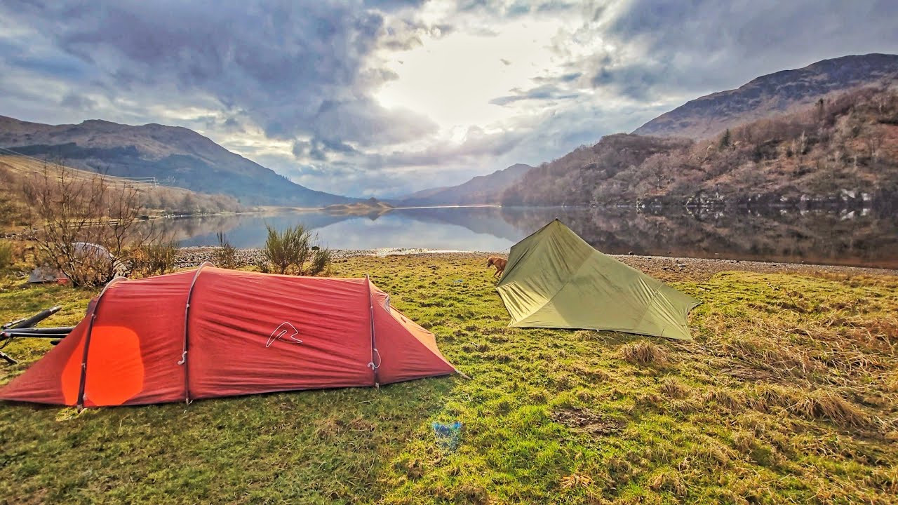 Wild Camping With My Golden Retriever! | A Beautiful Scottish Wild Camp