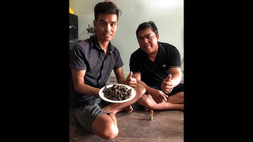 Đi bắt Ốc len ở Rạch Gốc /Du lịch Miền Tây