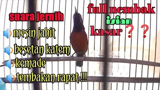 MASTERAN KONIN GACOR FULL TEMBAKAN MESIN JAHIT,BESETAN KAPAS TEMBAK DAN KEMADE !!!